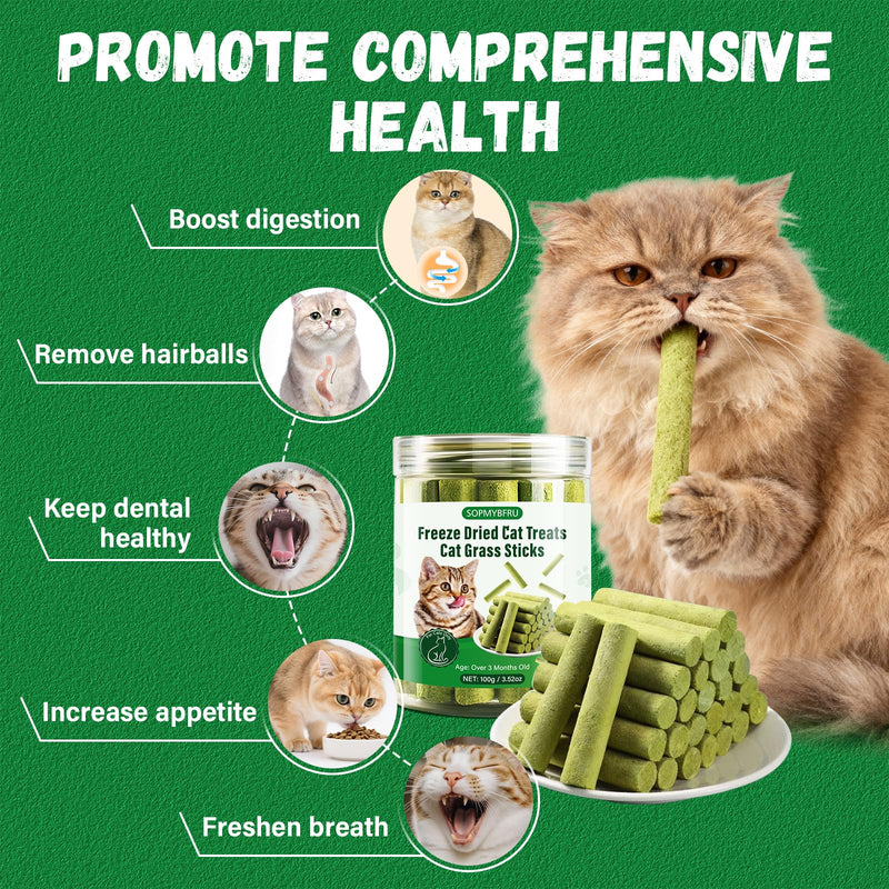 Cat Grass Teething Stick, 100g / 3.52oz Natural Cat Grass Treats for Indoor Cats, Cat Chew Stick for Hairball Cleaning, Appetite Boosting & Dental Health, Edible Cat Toys