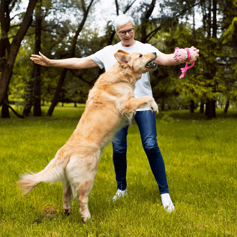 G-Max Joint Support for Dogs - Maximum Strength Hip & Joint Supplement with Glucosamine, Chondroitin, MSM etc - Relieves Arthritis Pain & Hip Dysplasia - Bacon Flavor, 60 Chews - PawsPlanet Australia