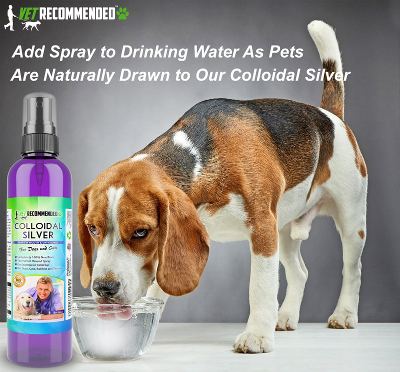 Vet Recommended Colloidal Silver for Dogs and Cats, Colloidal Silver Spray that Works as Natural Hot Spot Solution for Dogs - Made in USA (8oz/240ml) 8 fl oz (240 ml)