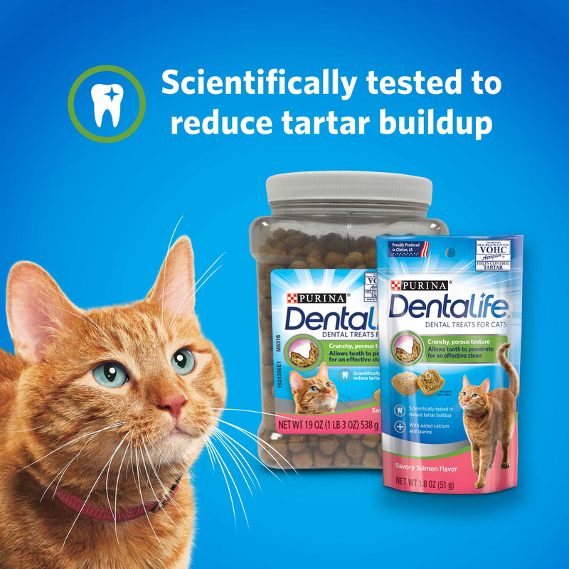 DentaLife Purina Made in USA Facilities Cat Dental Treats, Savory Salmon Flavor - 19 oz. Canister 1.19 Pound (Pack of 1) - PawsPlanet Australia