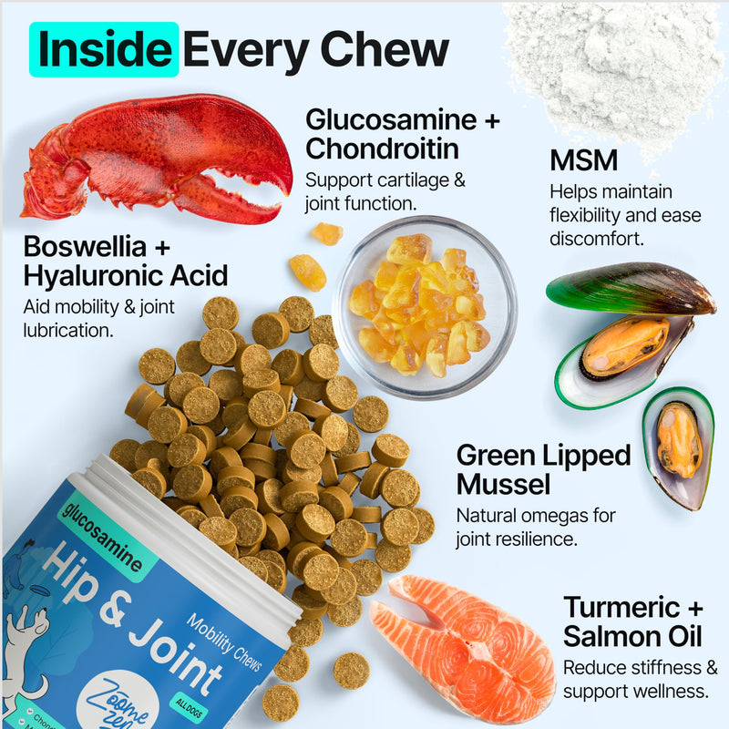 Hip and Joint Supplement for Dogs – Glucosamine for Dogs, Dog Joint Supplement, Mobility, Flexibility & Comfort, Chews with Glucosamine Chondroitin Msm & Omega3, 2 Pack,340 Chews,Made in USA
