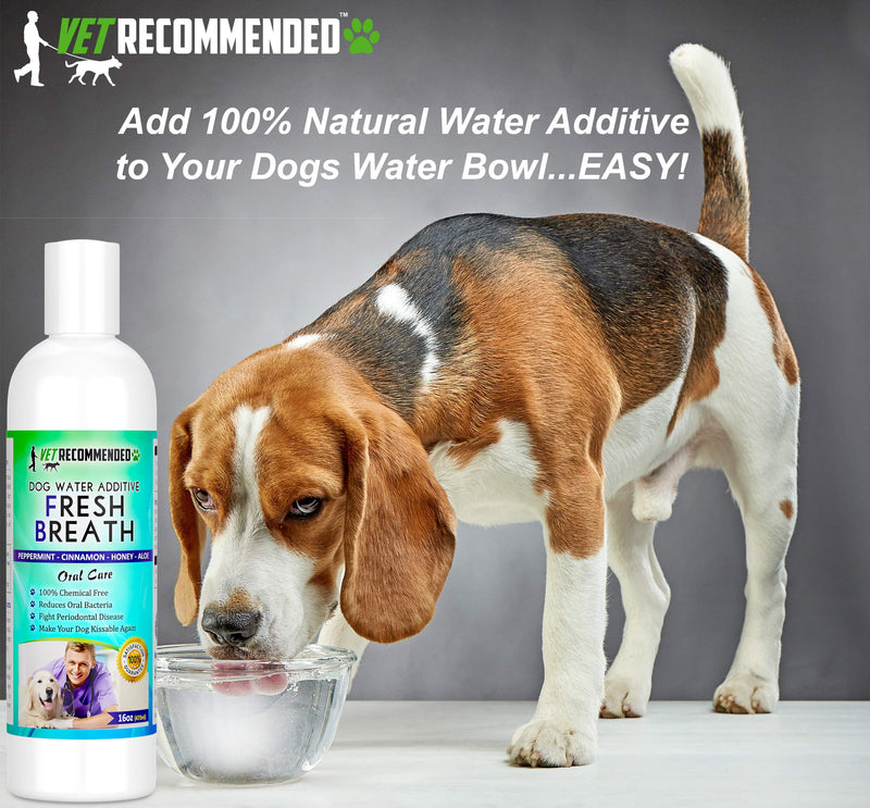 Vet Recommended Dog Breath Freshener Water Additive for Pet Dental Care - All Natural - Works to Solve The Cause of Bad Dog Breath. Add to Pet's Drinking Water - Made in USA (16oz/473ml)