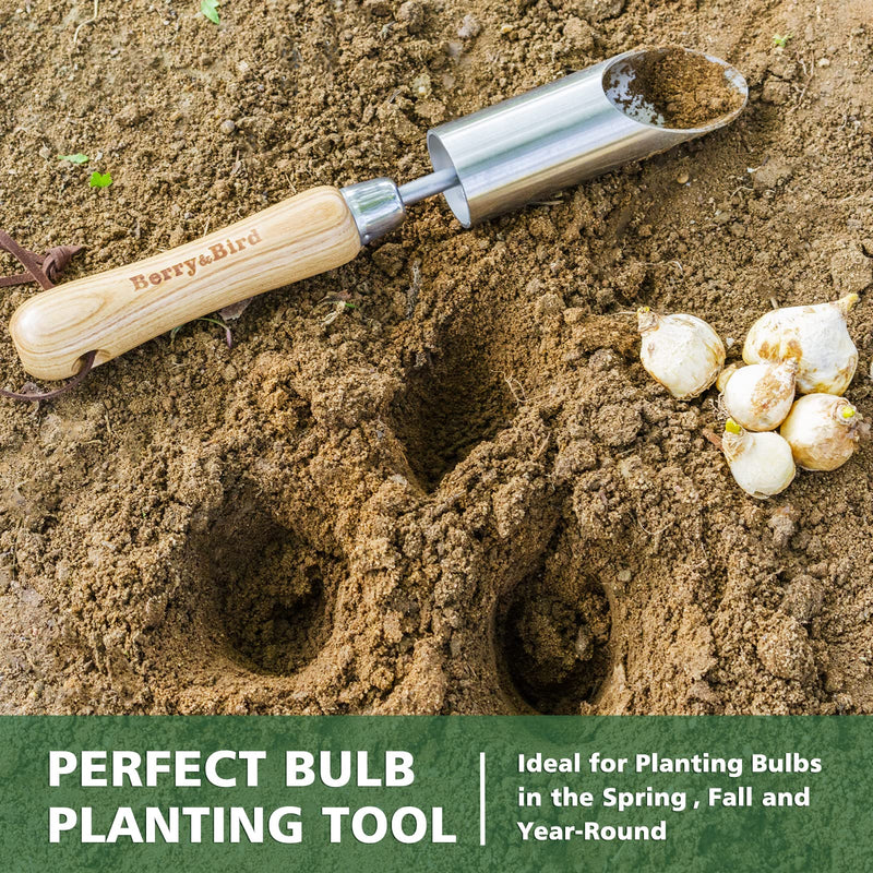 Berry&Bird Bulb Planter Tool, 12" Garden Bulb Transplanter Tool, Stainless Steel Manual Hole Digger with Wooden Handle, Transplanting Agricultural Dibble Tool for Seed Planting & Flower Planter 12" Bulb Planter Tool