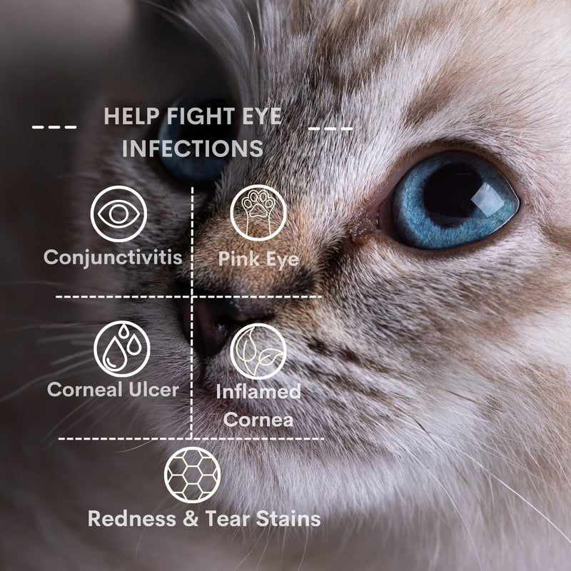 Pet Eye Cream for Dogs, Cats and All Pets - 1/8 oz (3.5g) 2 Tube