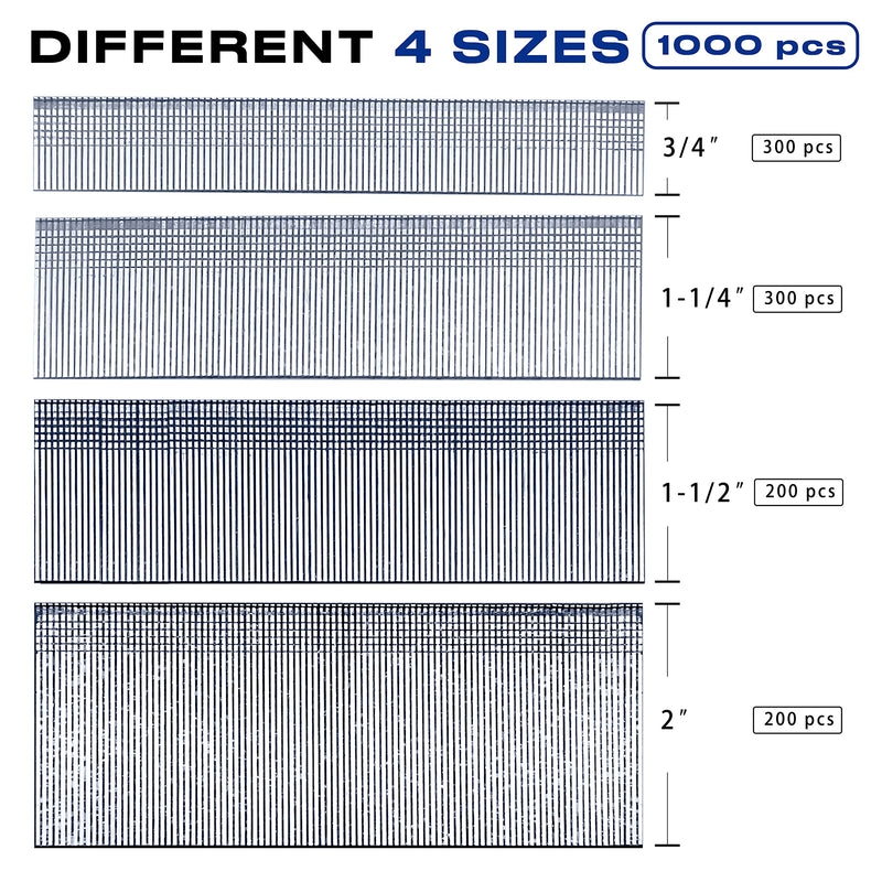 18 Gauge Brad Nails 4 Sizes (2",1-1/2",1-1/4",3/4") Galvanized 18 GA Nail Gun Nails Assorted and Small Finishing Nails for Pneumatic, Electric Brad Nailer (Assembly 1000) Assembly 1000