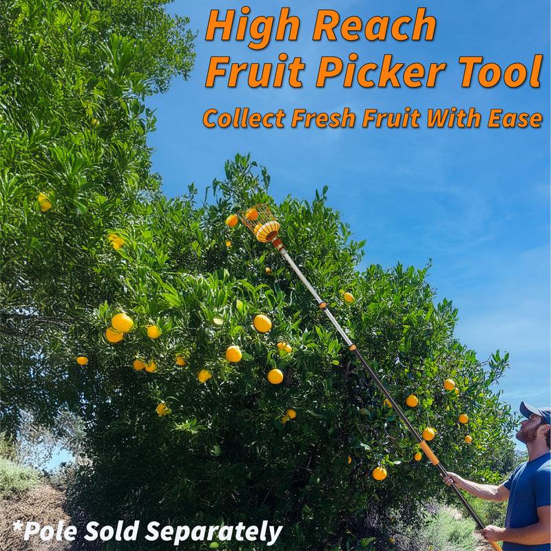 EXTEND-A-REACH Fruit Picker Basket Only // Twist-On Apple Picker Basket Only Fits Standard Acme Extension Pole // Fruit Tree Picker Tool for Orange Mango Avocado Lemon Pear (Pole Sold Separately)