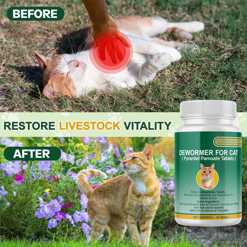 Cat & Kitten Dewormer for All Wormers, Pyrantel Pamoate, Roundworms & Hookworms, 50 Tablets