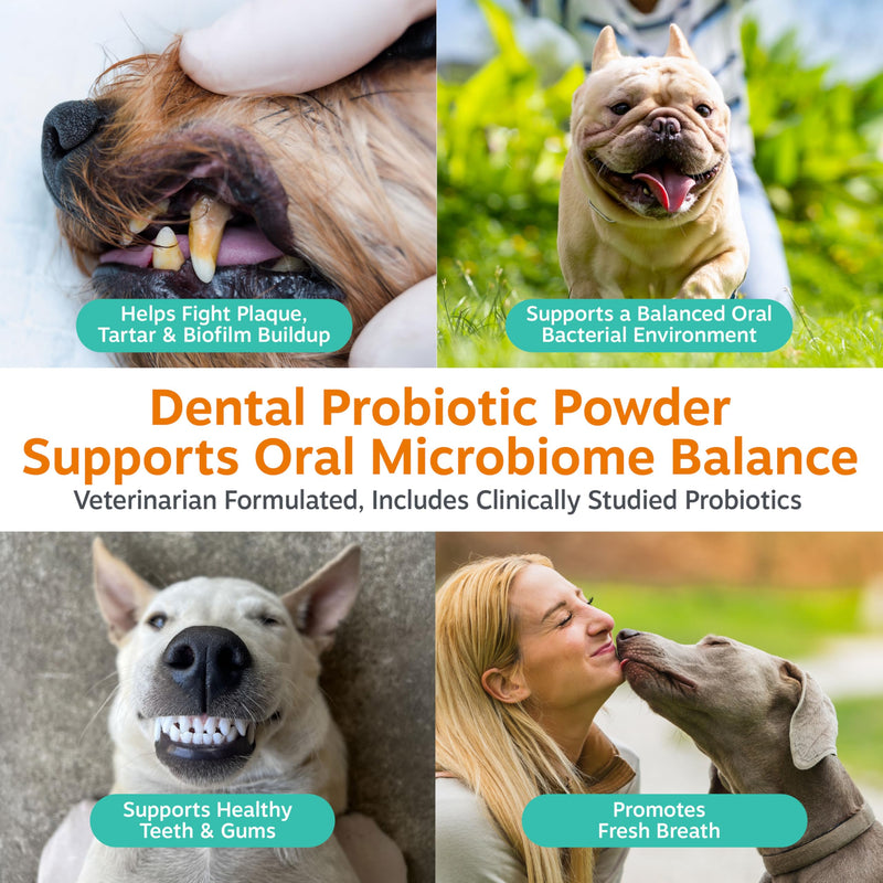 Zesty Paws Probiotic Dental Powder for Dogs Teeth - Fights Plaque, Tartar & Bad Dog Breath - Dog Teeth Cleaning Powder for Oral Microbiome & Gut Health - Pet Supplement for Dental Health 90 Count (Pack of 1)