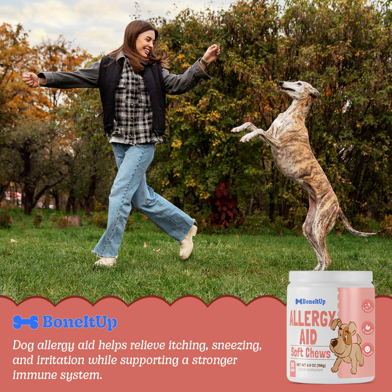 BoneItUp Soft Dog Allergy Chews for Itching, Sneezing, Paw Licking, Seasonal Allergies - Essential Omega-3, Turmeric & Quercetin for Dogs Allergies - Daily Immune & Digestive Dog Allergy Treats (90ct) Allergy Aid