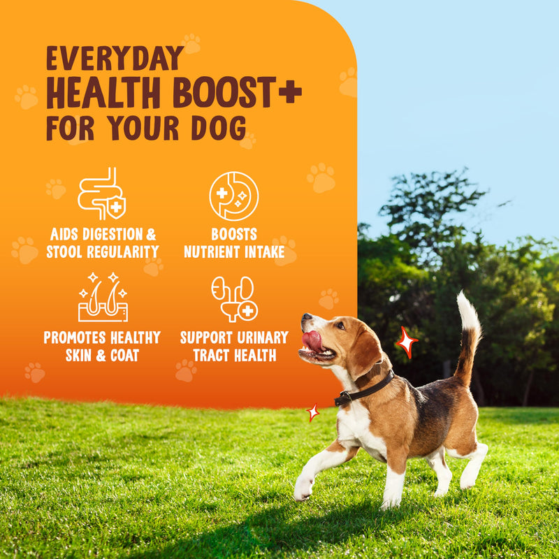 High Fiber Wellness for Dogs – Pumpkin Powder & Green Bean Chips – Natural Digestive Support, Low-Calorie Treats & Food Topper – Grain-Free
