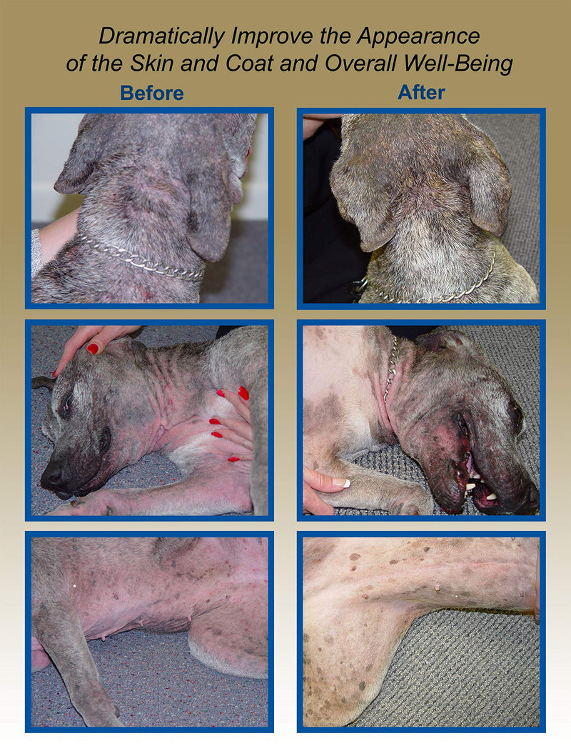 Davis TheraCoat for Pets - NewNest Australia
