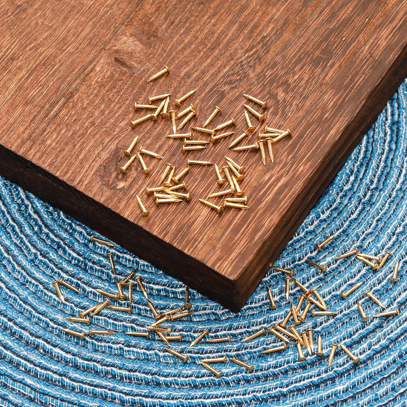 100 Pcs Tiny Brass Nails, Decorative Wooden Nails for DIY Craft Projects（1.2x8mm） 1.2x8mm