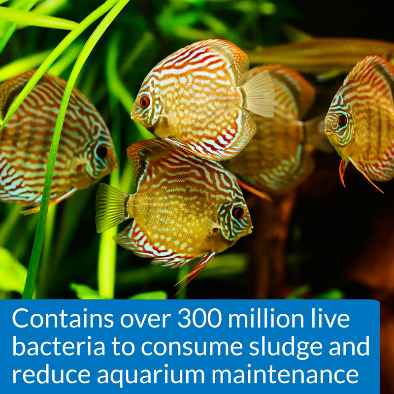 API Stress Zyme and Stress Coat Aquarium Cleaning and Water Conditioning Solutions