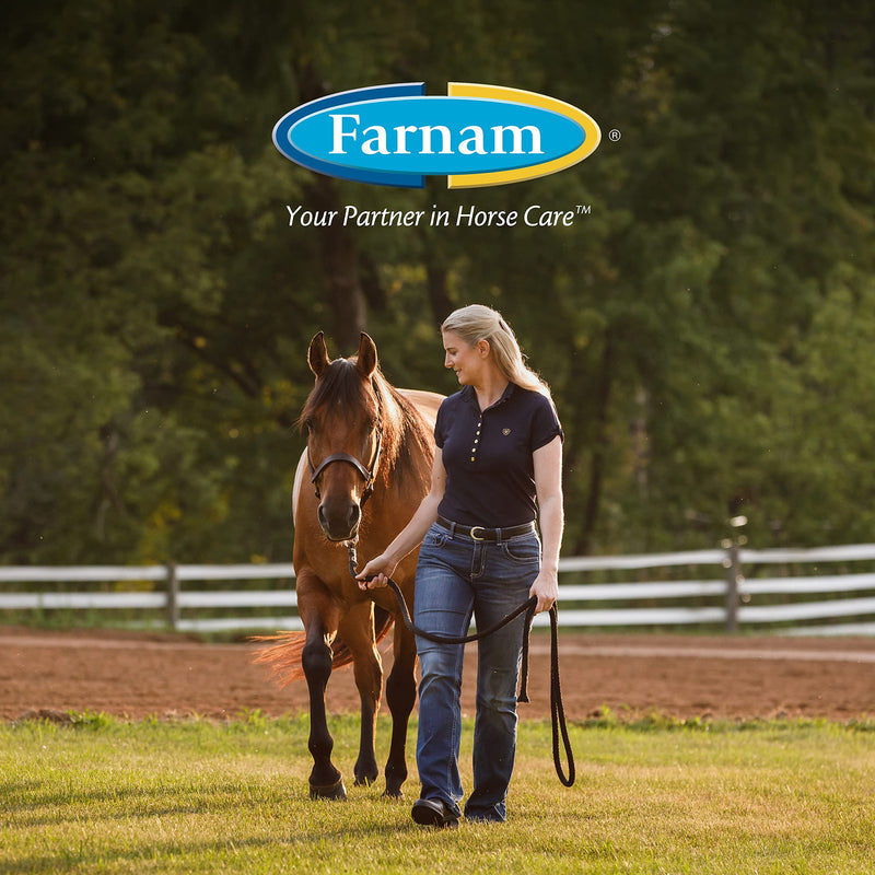 Farnam Endure Roll-On Fly Repellent for Horses, for Sensitive Areas, 3 Ounces 3 oz. Roll On - PawsPlanet Australia