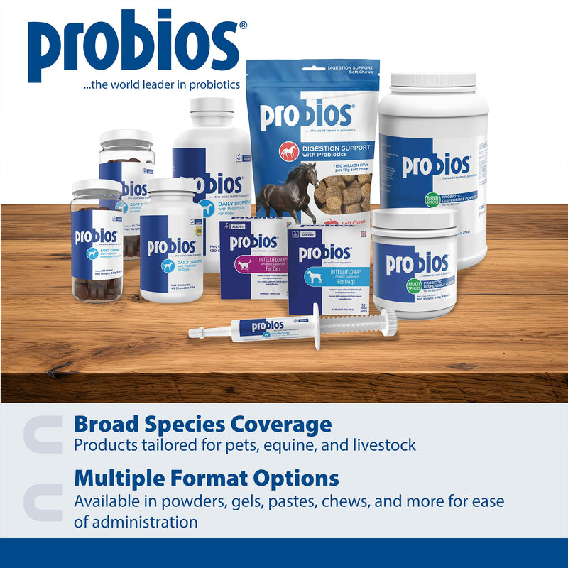 Probios Chewable Tablets for Dogs, Daily Probiotic Supplement for Gut Health, Digestion & Immune Support, Improves Microbiome Balance During Stress, Travel, Chicken Liver, 45 Count (Pack of 2) 45 Count (Pack of 2)