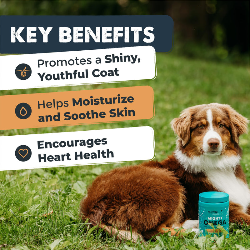 Mighty Paw Waggables Mighty Omega (Made in The USA, 120 Count) | Omega 3 Fish Oil Chew for Dogs. Salmon Flavor Skin and Coat Supplement. Soft Chew Fish Oil for Dogs - DHA & EPA, Bacon Flavor Omega Fish Oil Chews