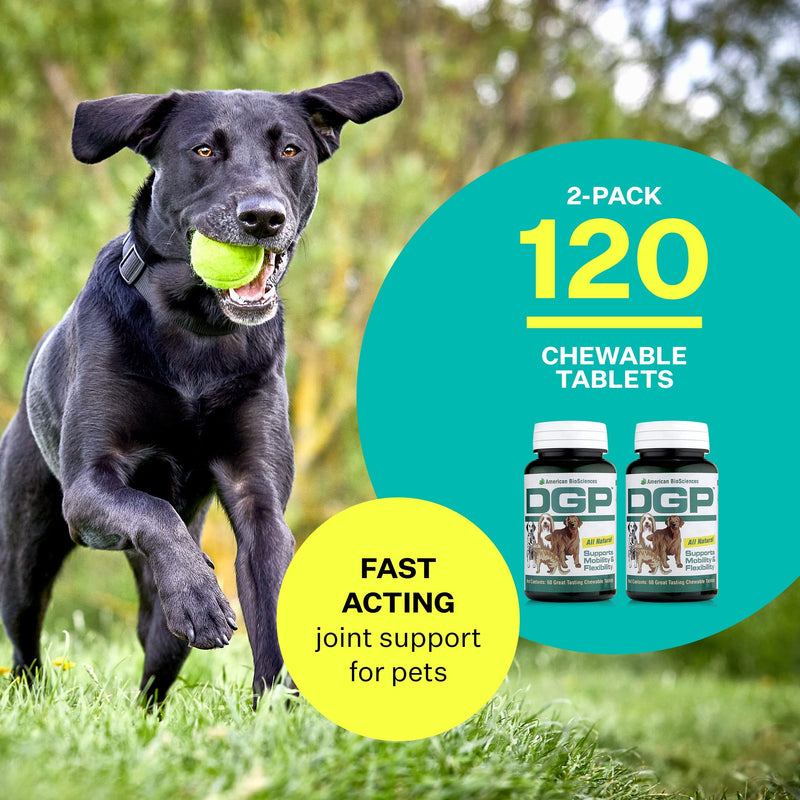 DGP 2-Pack, All-Natural Joint Supplement for Dogs - Joint Support with Turmeric, Boswellia Extract & More - Quick Effect for Immediate Mobility Support - 60 Chewable Pet Tablets - PawsPlanet Australia