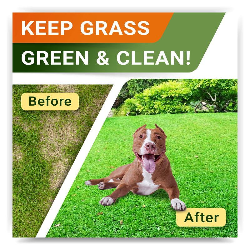 StrellaLab Grass Restore Treats for Dogs - Dog Pee Lawn Repair Chew Probiotics + Digestive Enzymes, Cranberry - Dog Urine Neutralizer for Grass Burn Spots - Health & Wellness Supplements for Dog