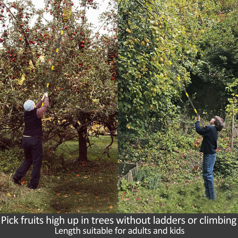 Fruit Picker Pole with Basket Telescopic Pole, 8ft Extendable Fruit Catcher Picking Pole Garden Tools for Picking Fruit from High Apple Cherry Orange Mango Fig Lemon Avocado Fruit Trees
