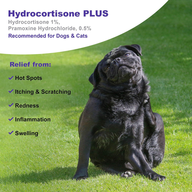 VetWELL Hydrocortisone Spray for Dogs & Cats - Itchy Skin Relief from Hot Spots, Bites, Scrapes, Irritated Skin, & Dermatitis - 4 oz Anti Itch Spray with Pramoxine - PawsPlanet Australia