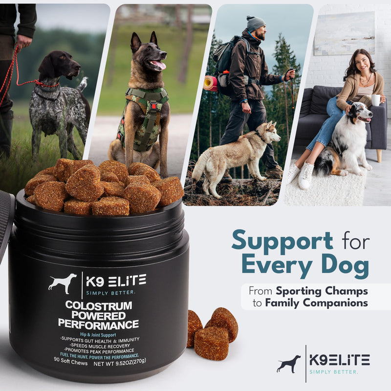 Dog Allergy Relief Chews for Itching Skin – Anti Itch, Gut Health & Immune Support with Colostrum & Omega 3 – Skin & Coat Supplement for Dogs 90 Count