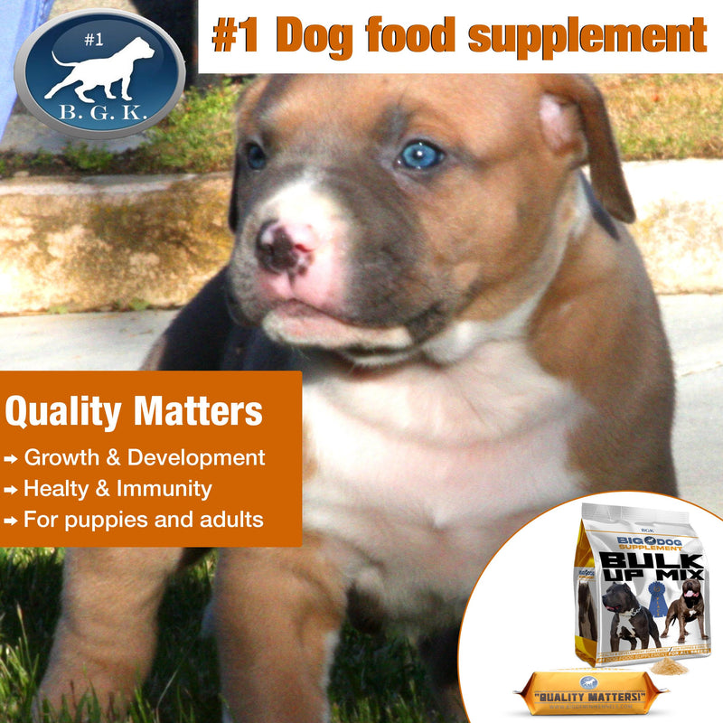 BGK Big Dog Supplement – (BGK Bulk UP) BGK BULK UP - PawsPlanet Australia