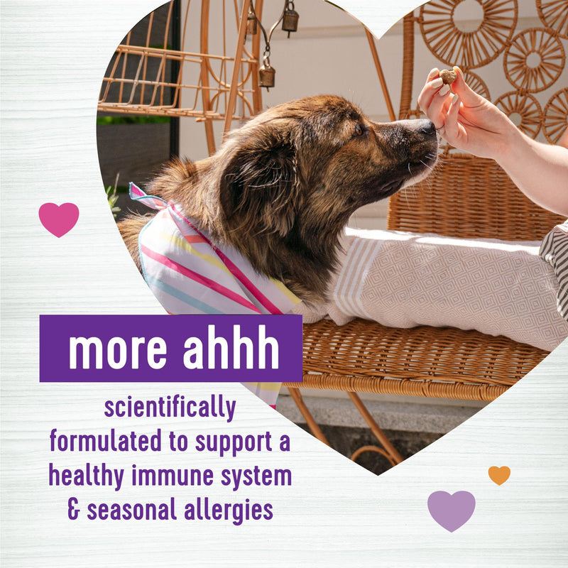 Wellness Salmon Flavored Soft Chew Immune & Allergy Supplements for Dogs, 45 Count Immunity/Allergy