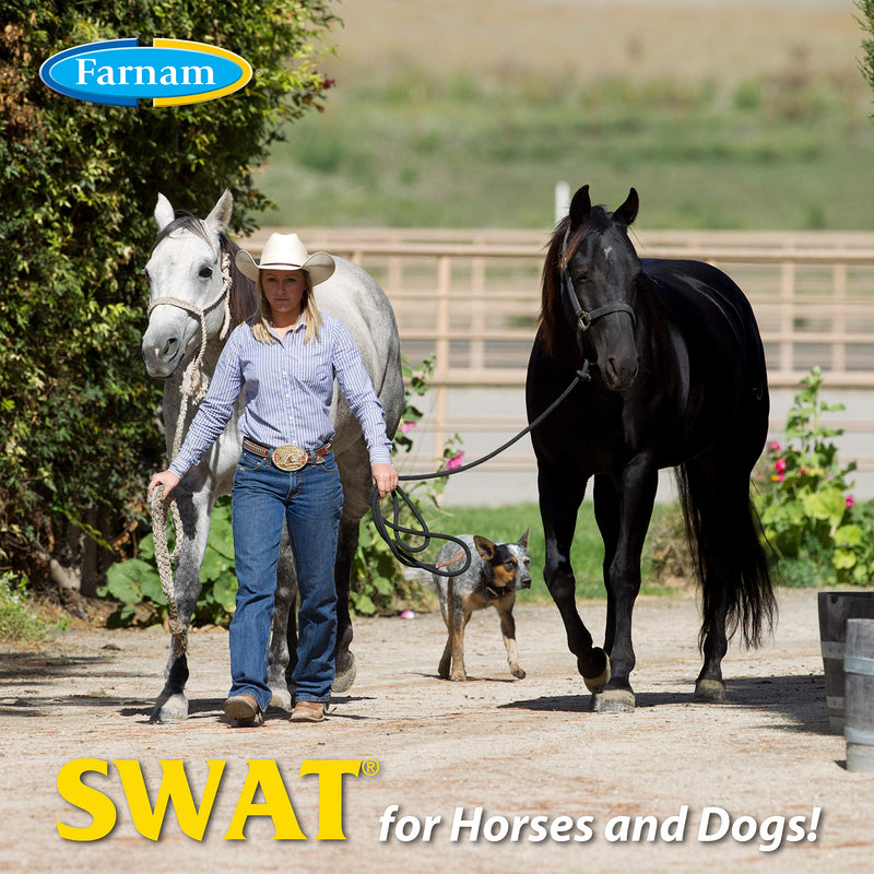 Farnam SWAT Fly Repellent Ointment | for Horses and Dogs | 7 oz | Pink - PawsPlanet Australia