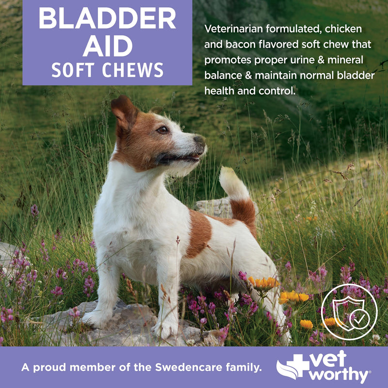 Vet Worthy Dog Bladder Supplement - Urinary Tract & Bladder Control Support for Dogs Prone to Frequent Urination - with Cranberry for Dogs & Pumpkin Seed - Helps Maintain Urine Balance - 60ct