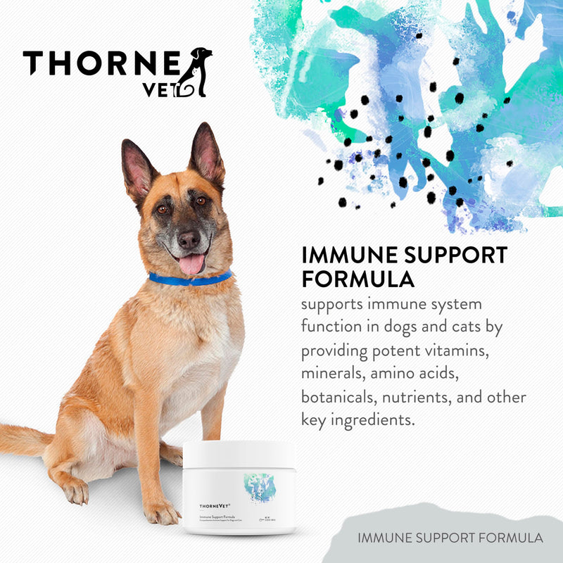 ThorneVET Immune Support Formula Powder – Immune Support for Dogs & Cats, 90 Scoops - PawsPlanet Australia