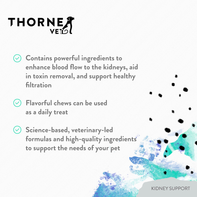 ThorneVet Kidney Support for Dogs & Cats – Powder Formula for Kidney Health – with Rehmannia, Astragalus, Mushrooms, and Chitosan – 90 Scoops