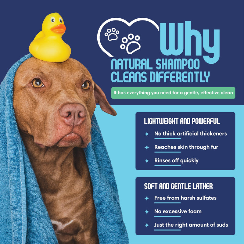 Organic Dog Shampoo - Oatmeal Dog Shampoo for Itchy Skin - Hypoallergenic for Sensitive Skin & Puppies, Deodorizes Smelly Dogs, Tearless, Made in USA, 16oz (Unscented) Unscented - Oatmeal & Aloe - PawsPlanet Australia