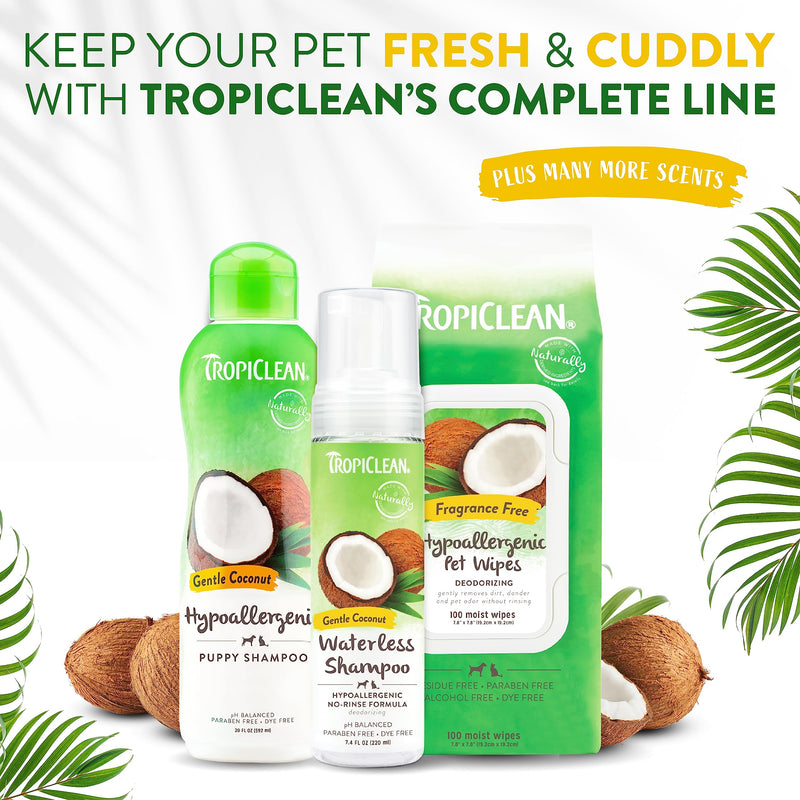 TropiClean Coconut Hypoallergenic Cat Shampoo | Gentle Kitten Shampoo for Sensitive Skin | Natural Shampoo Derived from Natural Ingredients | Made in The USA | 12 oz. Gentle Coconut - PawsPlanet Australia