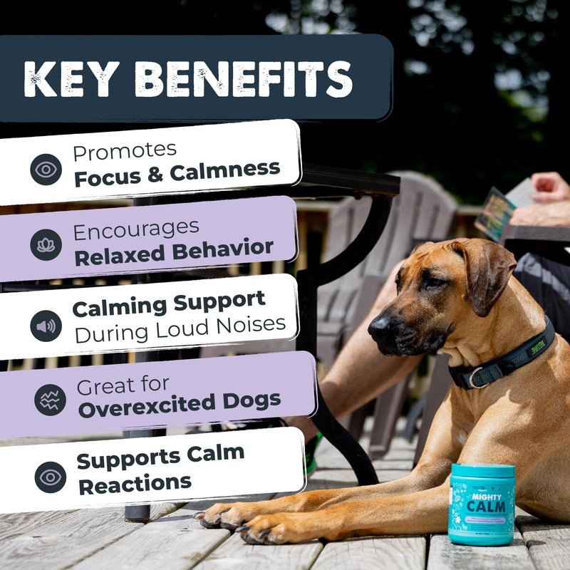 Mighty Paw Calming Chews for Dogs with Melatonin - Vet Formulated Dog Sleep Aid - Puppy & Large Pet Treats - Waggables Calm -Composure Calming Chews for Stress & Relaxation, 120 Count (Made in USA) 1 Pack - 120 Chew Count