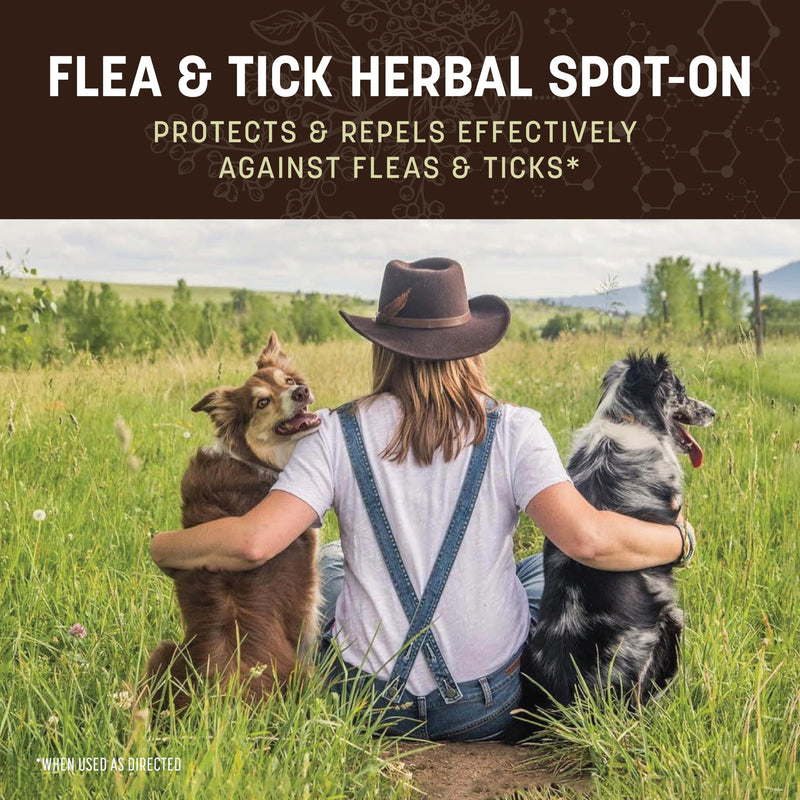 Earth Animal Apothecary Natural Flea & Tick - Herbal Spot-On for Medium Dogs - 3 Applications (3 Month Supply)