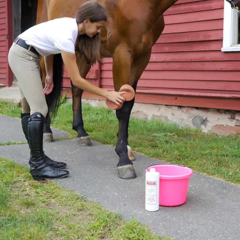 Absorbine Bigeloil Liquid Liniment, Invigorating Topical Rub for Sore Muscles, Joints & Arthritis Pain, 32oz Bottle 32 oz