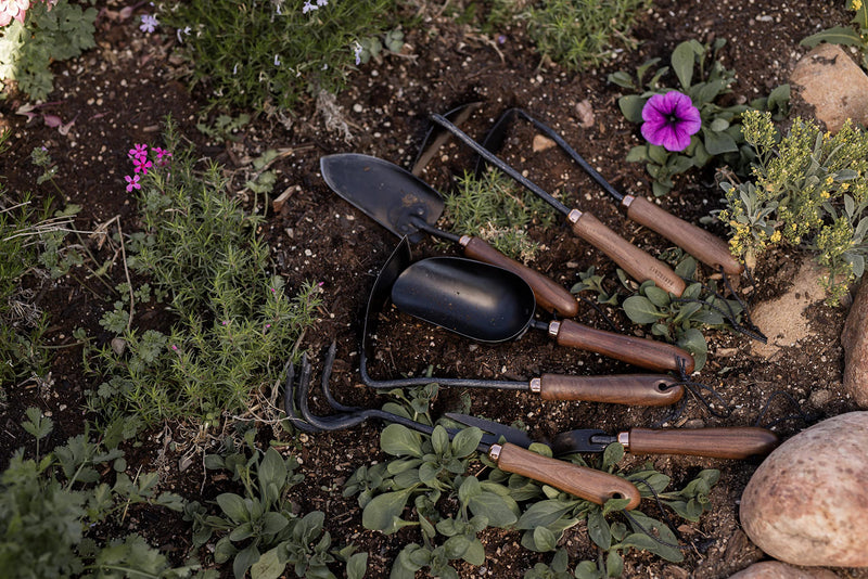 Barebones Japanese Weeding Hoe - Hoe Garden Tool - Durable Stainless Steel Hand Tool for Weeding and Digging (Walnut/Black) Walnut/Black