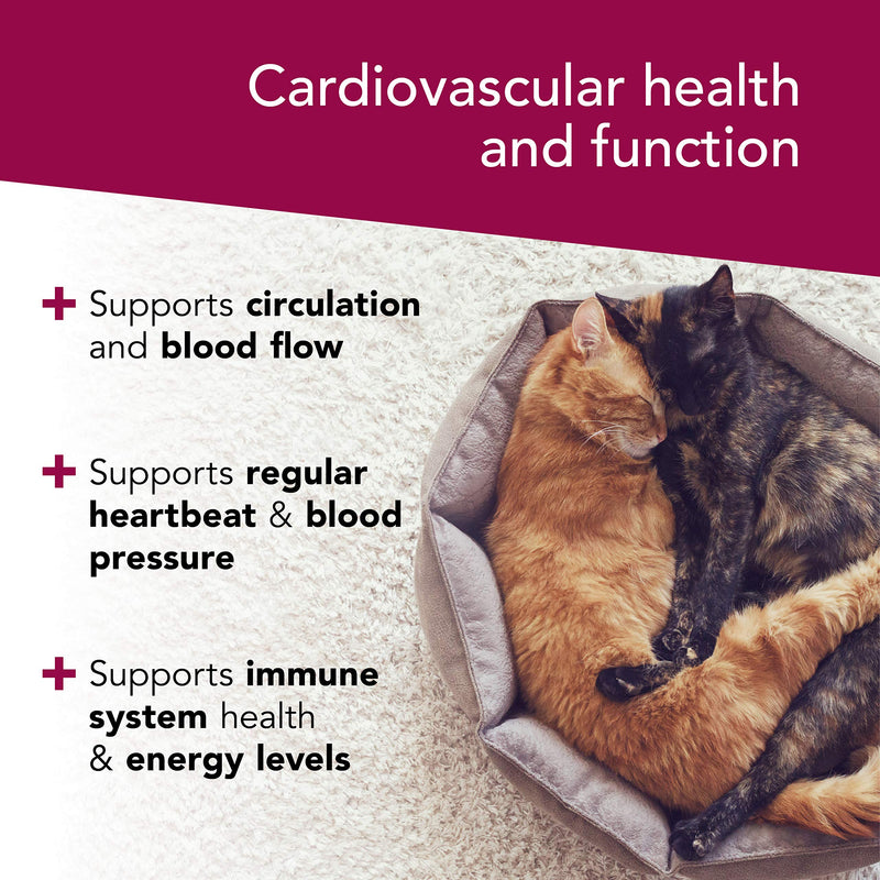 VetriScience Laboratories Cardio Strength, 90 Capsules - Supports Blood Flow, Immune System and Energy Levels for Dogs and Cats - PawsPlanet Australia