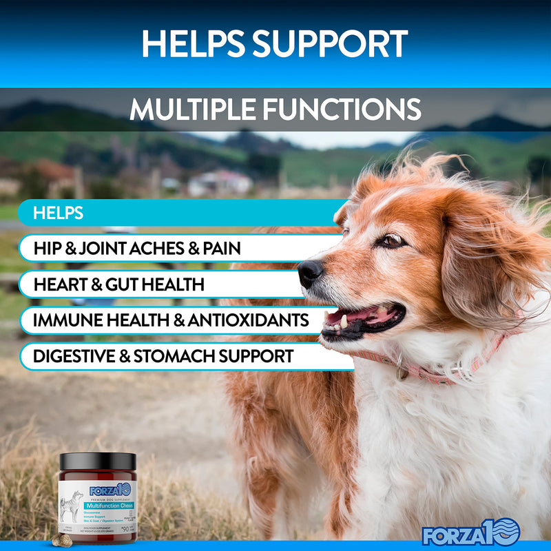 Forza10 Dog Vitamins Supplements, Dog Multivitamin Chews, Pet Vitamins for Dogs, Peanut Butter Flavor Dog Supplement, Multivitamin for Dogs, Senior Dog & Puppy Vitamins, Small to Large Breeds, 90 Ct. - PawsPlanet Australia