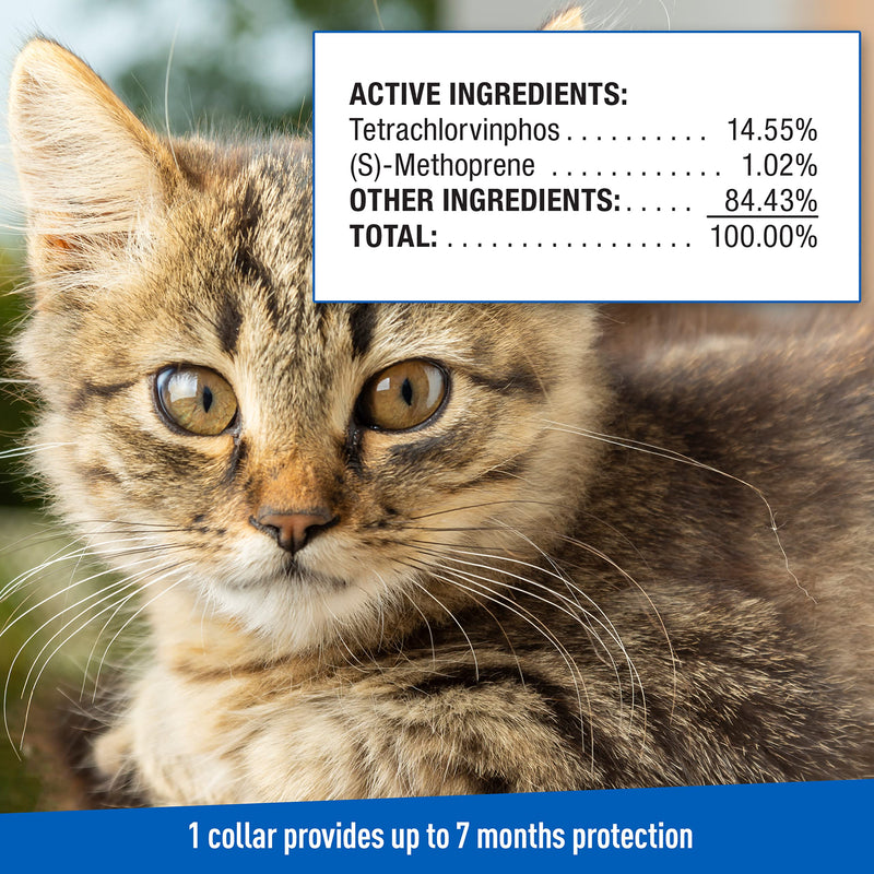 Adams Plus Flea & Tick Collar for Cats 1 pack - PawsPlanet Australia