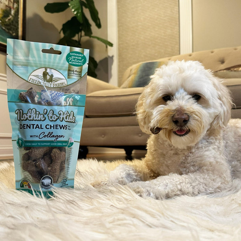 Fieldcrest Farms Nothin’ to Hide Dental Chews with Collagen – 3" Beef‑Flavor Bones, 12‑Pack 1 Count (Pack of 12) Dental Bone