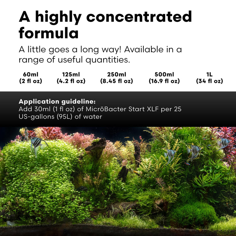 Brightwell Aquatics MicroBacter Start XLF - Concentrated Freshwater Nitrifying Bacteria - Quick Start Fish Tank Starter, Lift Microbe Levels & Water Filtering - Aquarium Water Treatments, 4.22 fl oz 125-ml