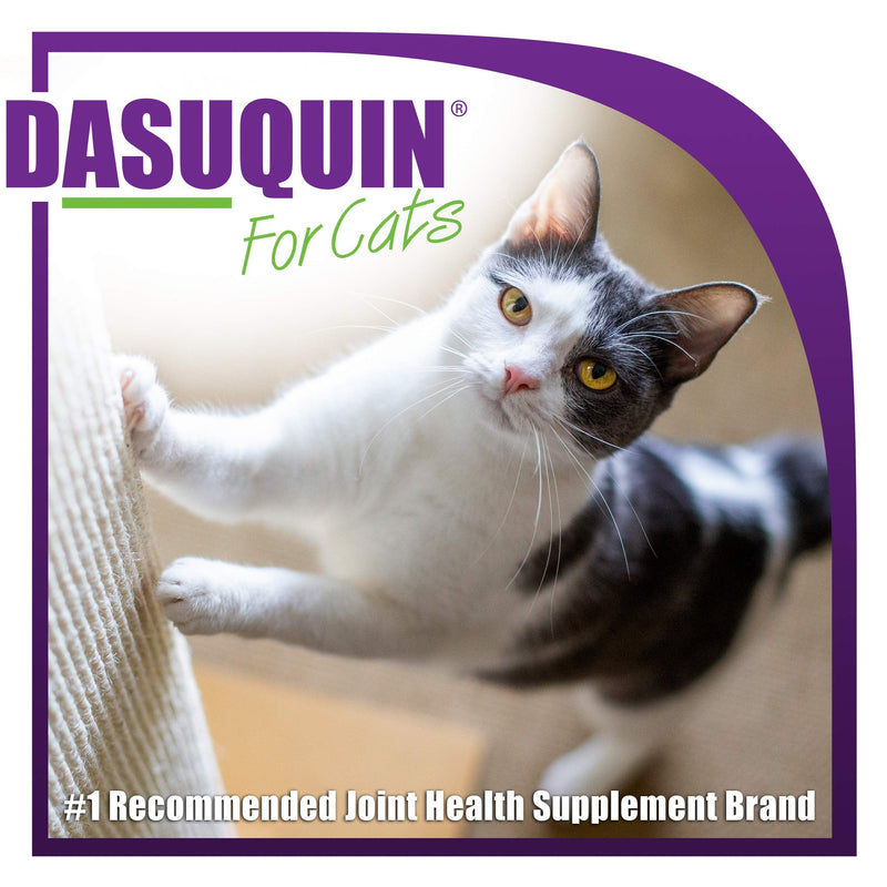 Nutramax Dasuquin Joint Health Supplement for Cats - With Glucosamine, Chondroitin, ASU, Boswellia Serrata Extract, and Green Tea Extract, 84 Capsules - PawsPlanet Australia