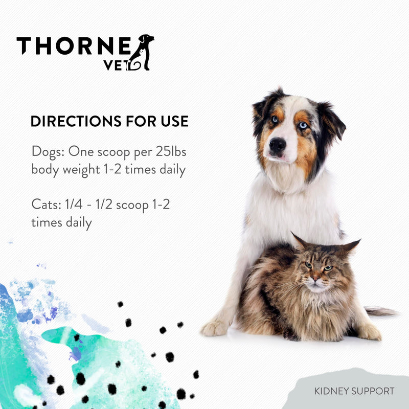 ThorneVet Kidney Support for Dogs & Cats – Powder Formula for Kidney Health – with Rehmannia, Astragalus, Mushrooms, and Chitosan – 90 Scoops