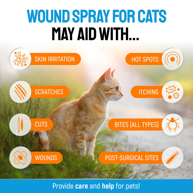 SILVER GRADE Cat Wound Care Spray with Silver – Wounds, Rashes, Hot Spots, Itch, Scratching, Irritation, Bites & Burns – Use a Cat Cone to Prevent Licking – Safe Formula – 4 Oz