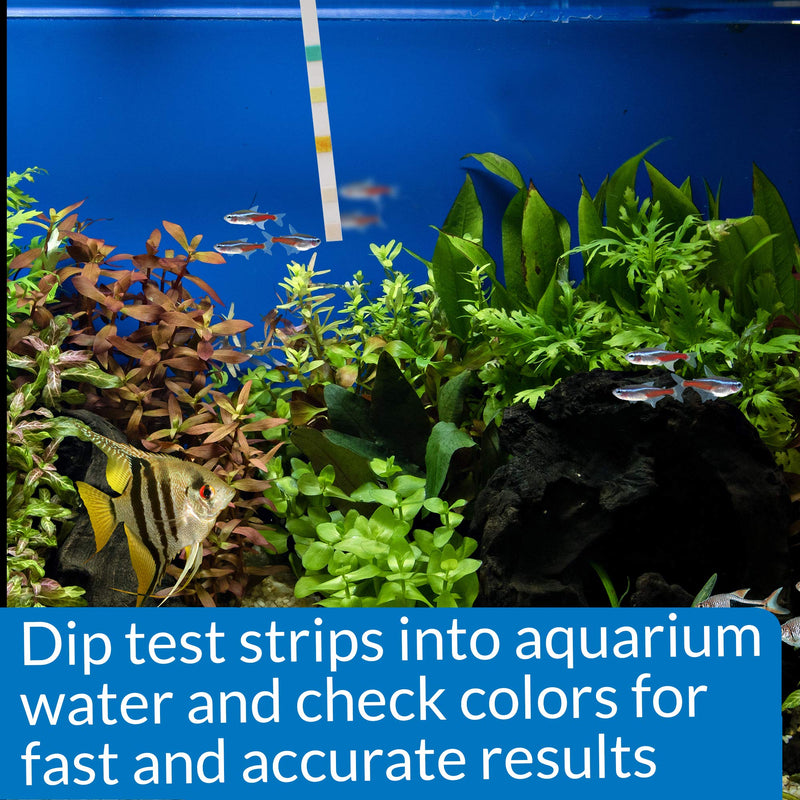 API 5-in-1 Test Strips Freshwater and Saltwater Aquarium Test Strips 25-Count Box Aquarium Water Testing