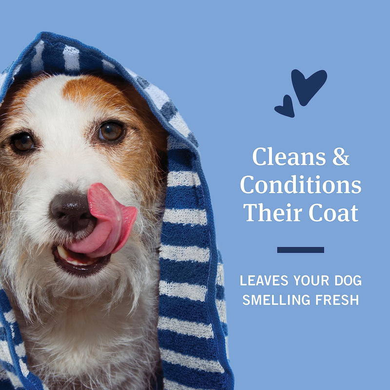 PetArmor Flea & Tick Protection Oatmeal Shampoo for Dogs, Hawaiian Ginger Scent, 18 oz Hawian Ginger Shampoo 18oz - PawsPlanet Australia
