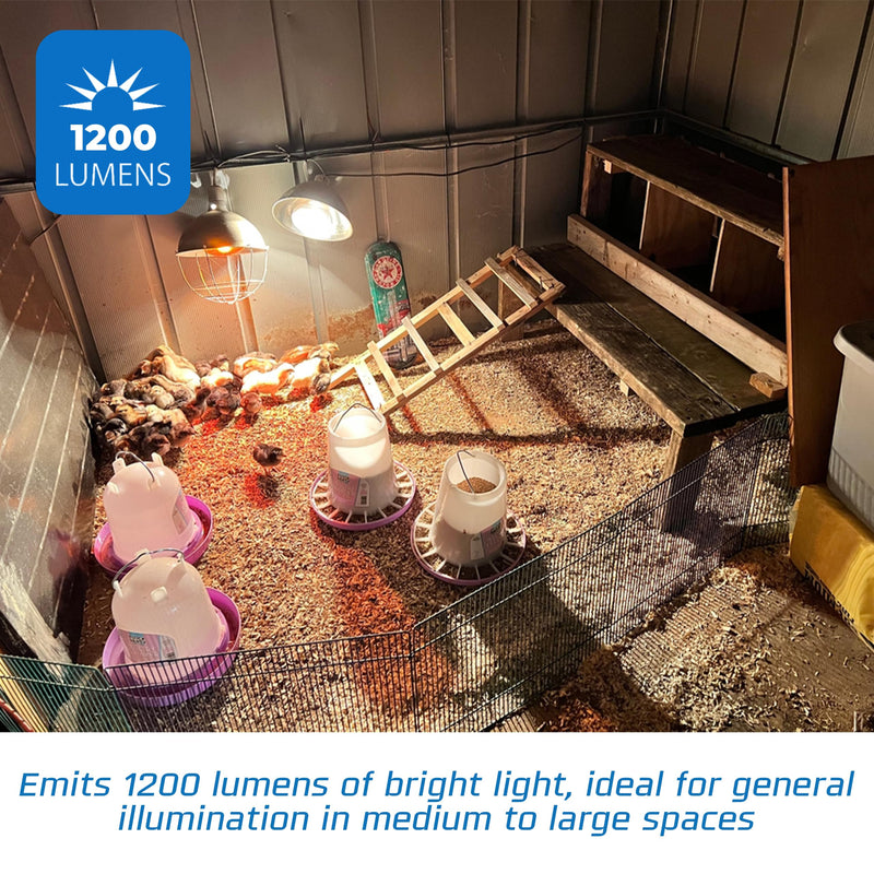 OHLECTRIC 250-Watt Heat Flood Lamp Light Bulbs (2-Pack) Shatterproof Bulbs, R40 Reflector, E26 Medium Base, Clear Head Lamps, 120V, 6,000 Hour Rated 2