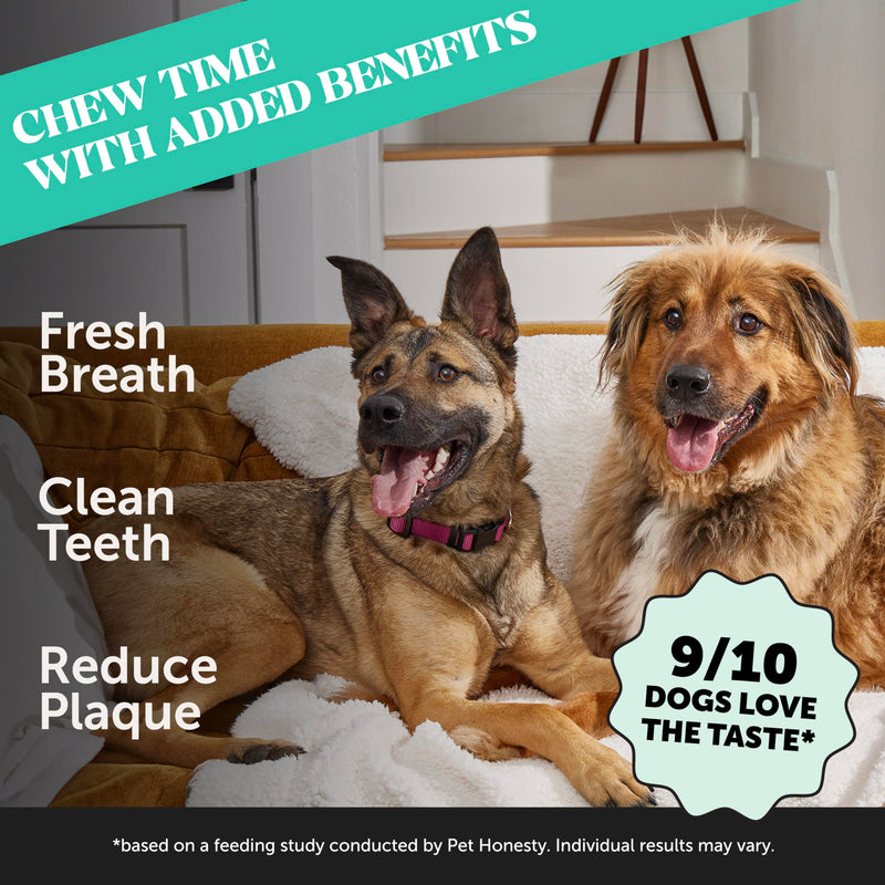 Pet Honesty Dental Health Fresh Sticks - Oral Hygiene Dental Sticks for Dogs - Dental Dog Chews - Freshen Dog Breath, Reduce Plaque + Tartar - 16 Sticks Dental Sticks Mint 15 Ounce (Pack of 1) - PawsPlanet Australia