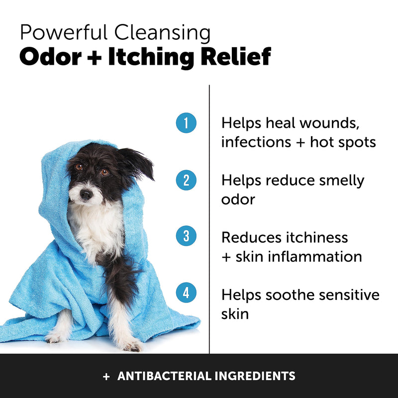 PetHonesty Chlorhexidine Shampoo + Skin Health Salmon Bundle - Itch Relief, Shiny Dog Coat, Dog Shampoo for Allergies, 100% Natural Fish Oil with Omega3s, Reduce Shedding, Healthy Skin & Coat - PawsPlanet Australia